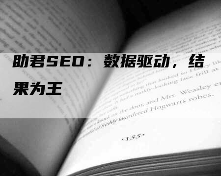 助君SEO：数据驱动，结果为王