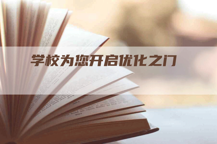 学校为您开启优化之门-网站排名优化网