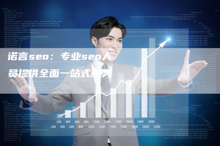 诺言seo：专业seo人员提供全面一站式服务