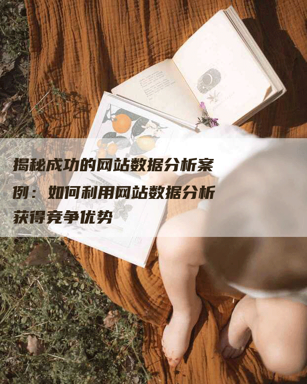 揭秘成功的网站数据分析案例：如何利用网站数据分析获得竞争优势