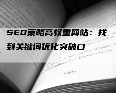 SEO策略高权重网站：找到关键词优化突破口