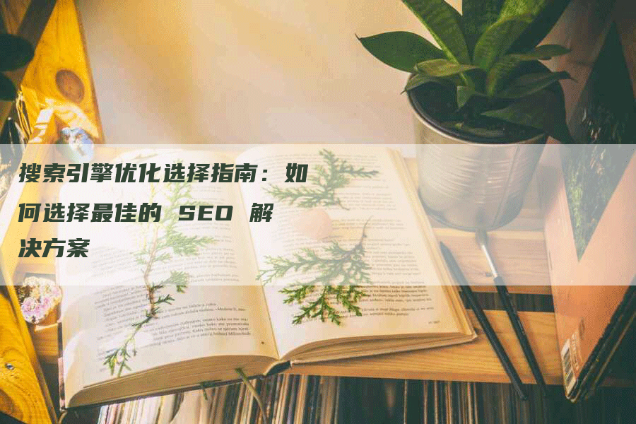 搜索引擎优化选择指南：如何选择最佳的 SEO 解决方案-网站排名优化网