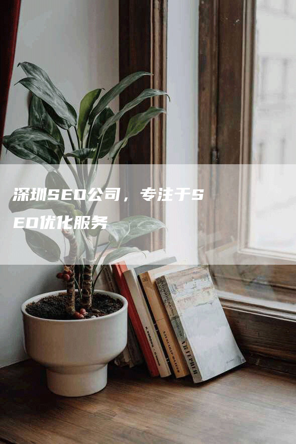 深圳SEO公司，专注于SEO优化服务