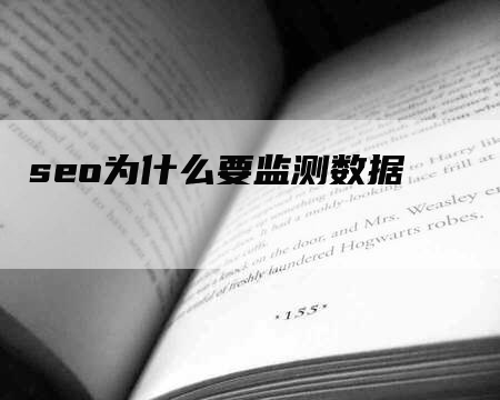 seo为什么要监测数据-网站排名优化网