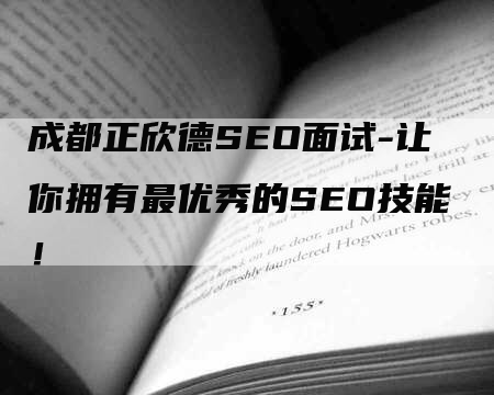 成都正欣德SEO面试-让你拥有最优秀的SEO技能！