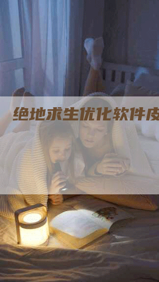 绝地求生优化软件皮城