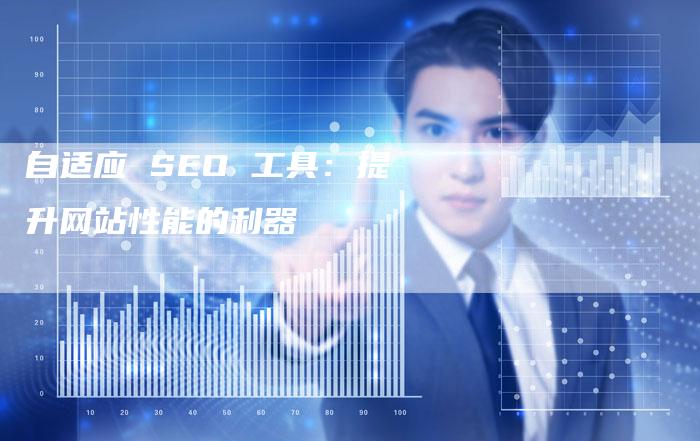 自适应 SEO 工具：提升网站性能的利器