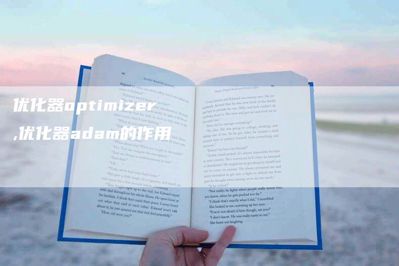 优化器optimizer,优化器adam的作用