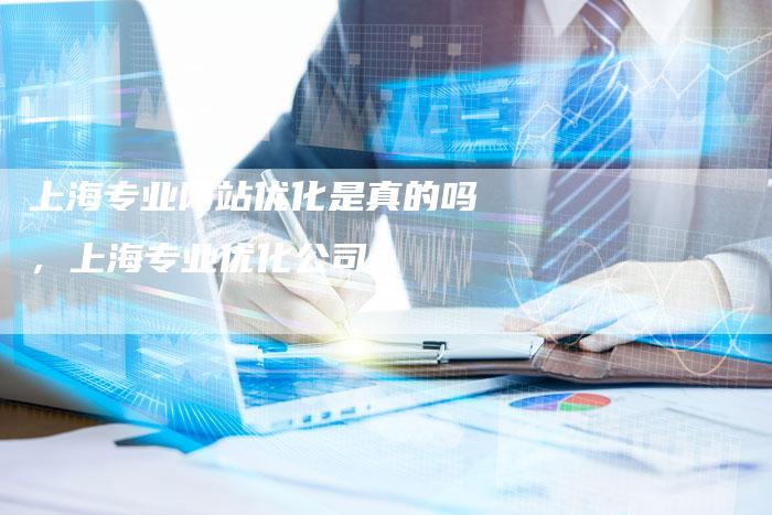 上海专业网站优化是真的吗，上海专业优化公司