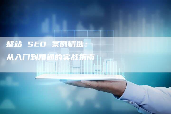 整站 SEO 案例精选：从入门到精通的实战指南-网站排名优化网