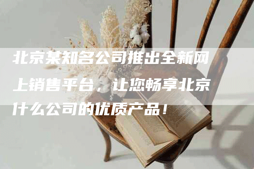 北京某知名公司推出全新网上销售平台，让您畅享北京什么公司的优质产品！