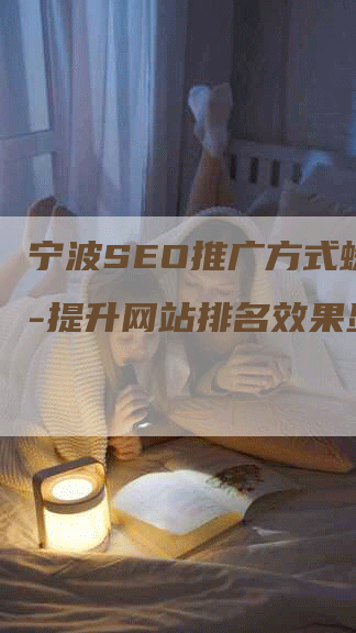 宁波SEO推广方式蜘蛛池-提升网站排名效果显著