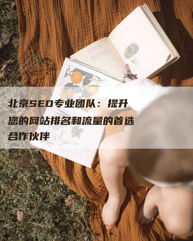 北京SEO专业团队：提升您的网站排名和流量的首选合作伙伴