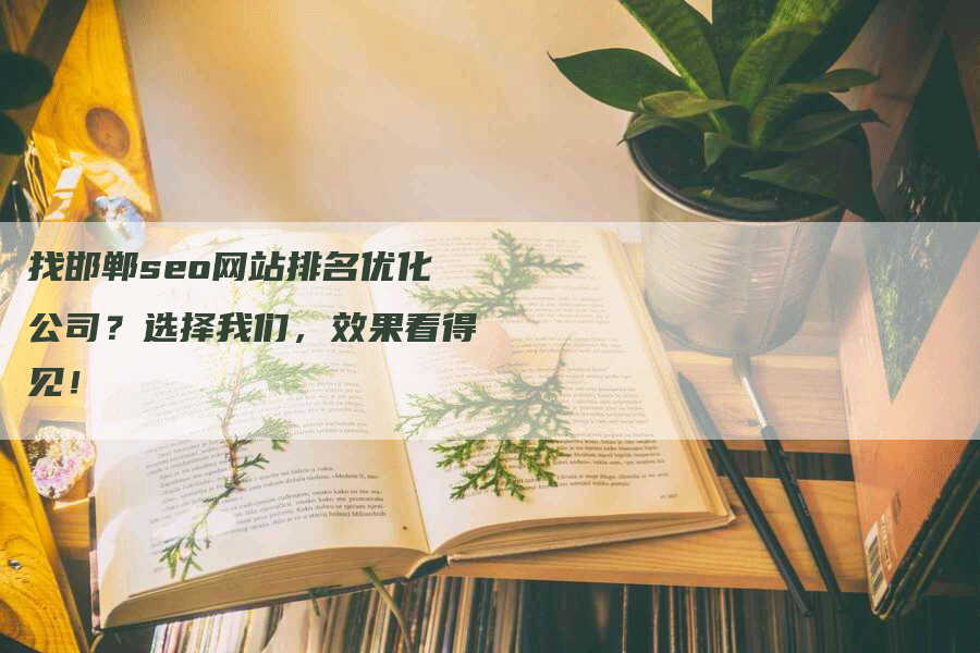 找邯郸seo网站排名优化公司？选择我们，效果看得见！