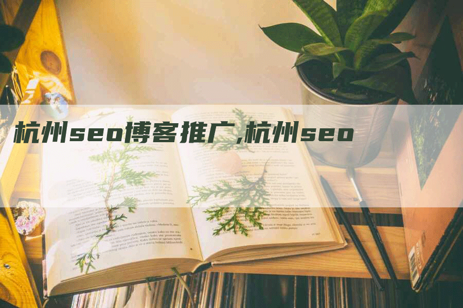 杭州seo博客推广,杭州seo-网站排名优化网