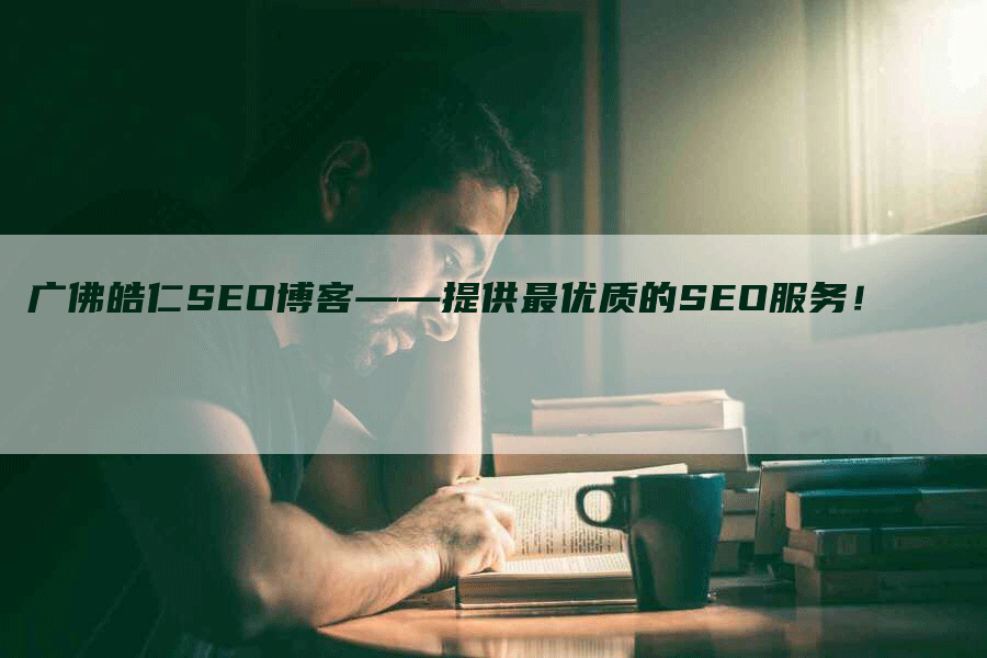 广佛皓仁SEO博客——提供最优质的SEO服务！