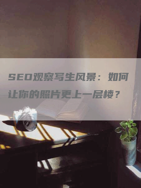 SEO观察写生风景：如何让你的照片更上一层楼？