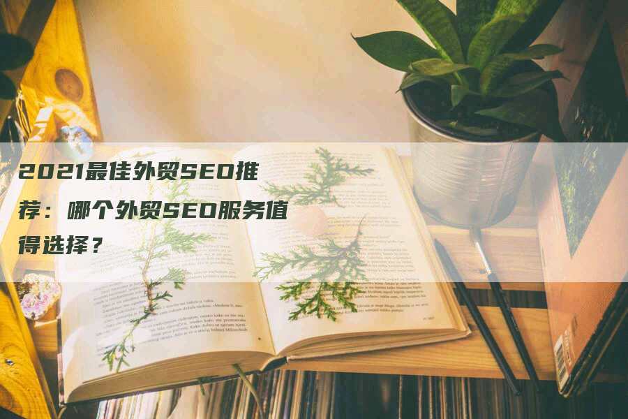 2021最佳外贸SEO推荐：哪个外贸SEO服务值得选择？-网站排名优化网