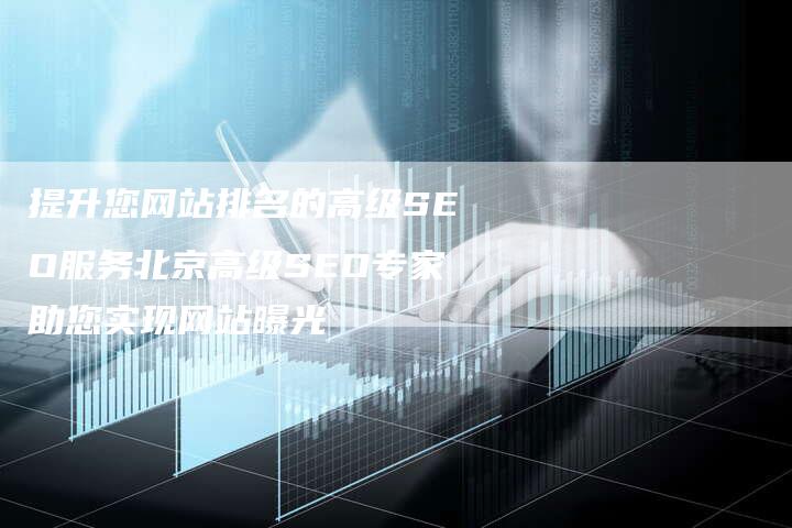 提升您网站排名的高级SEO服务北京高级SEO专家助您实现网站曝光