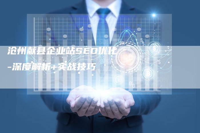 沧州献县企业站SEO优化-深度解析+实战技巧