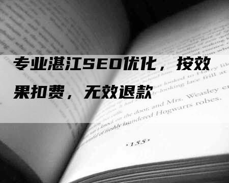 专业湛江SEO优化，按效果扣费，无效退款