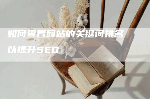 如何查看网站的关键词排名以提升SEO-网站排名优化网