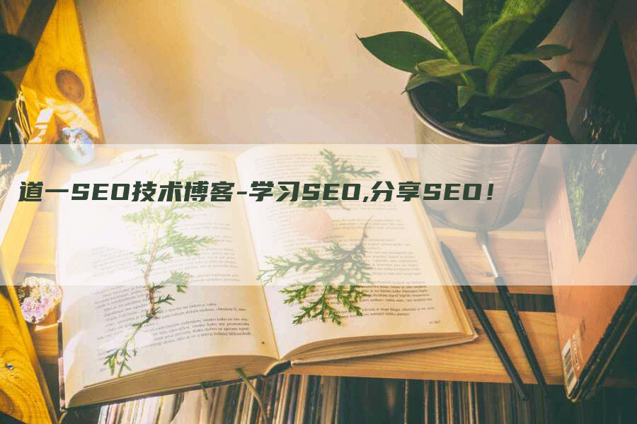 道一SEO技术博客-学习SEO,分享SEO！