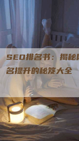 SEO排名书：揭秘网站排名提升的秘笈大全-网站排名优化网