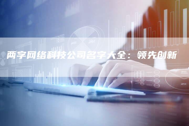 两字网络科技公司名字大全：领先创新-网站排名优化网