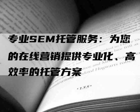 专业SEM托管服务：为您的在线营销提供专业化、高效率的托管方案-网站排名优化网