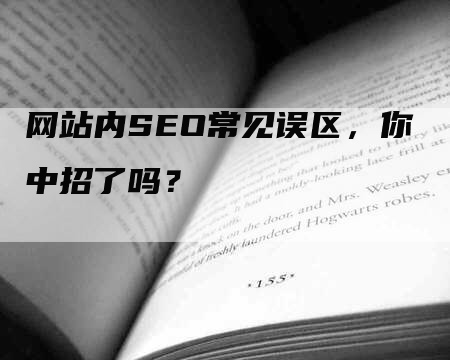 网站内SEO常见误区，你中招了吗？