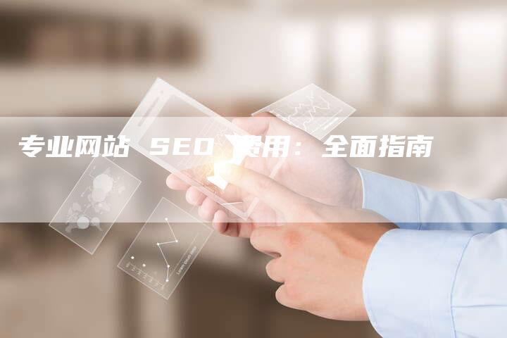 专业网站 SEO 费用：全面指南