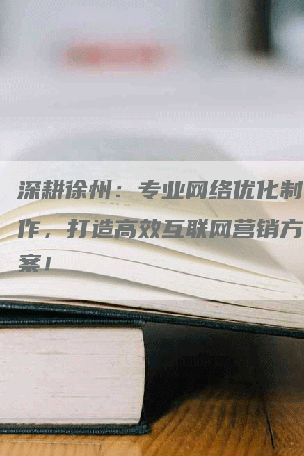 深耕徐州：专业网络优化制作，打造高效互联网营销方案！-网站排名优化网