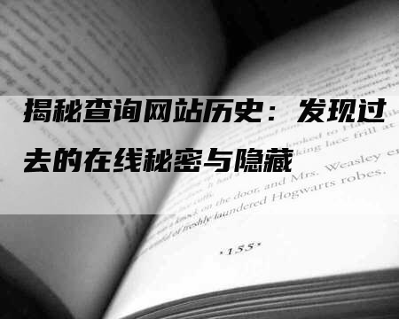 揭秘查询网站历史：发现过去的在线秘密与隐藏