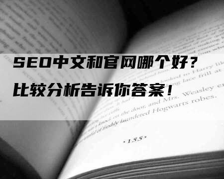 SEO中文和官网哪个好？比较分析告诉你答案！