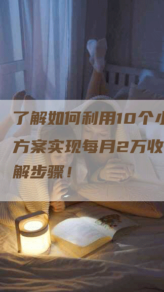 了解如何利用10个小生意方案实现每月2万收入，详解步骤！-网站排名优化网